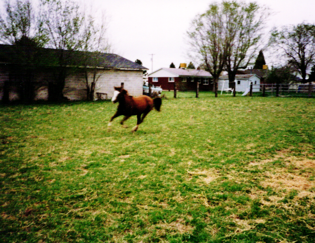 china running