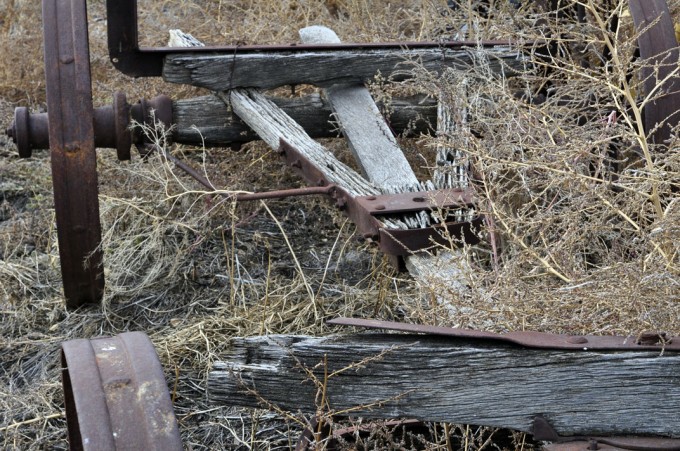 farm1