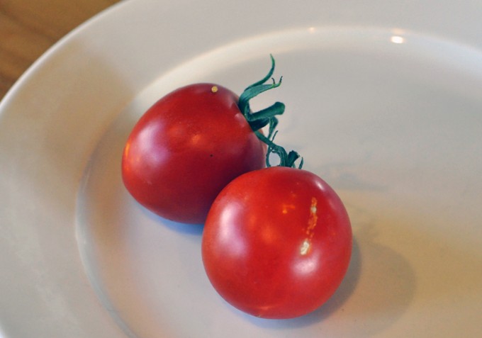 tomato