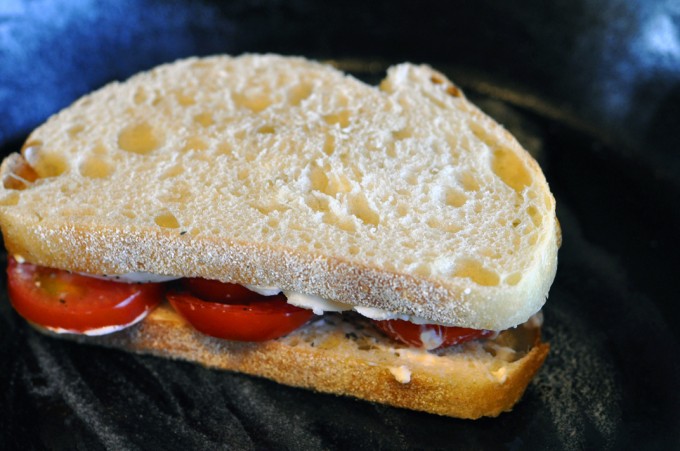 tomato7